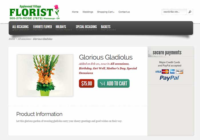 E-commerce website add to cart screenshot E-commerce website add to cart screenshot