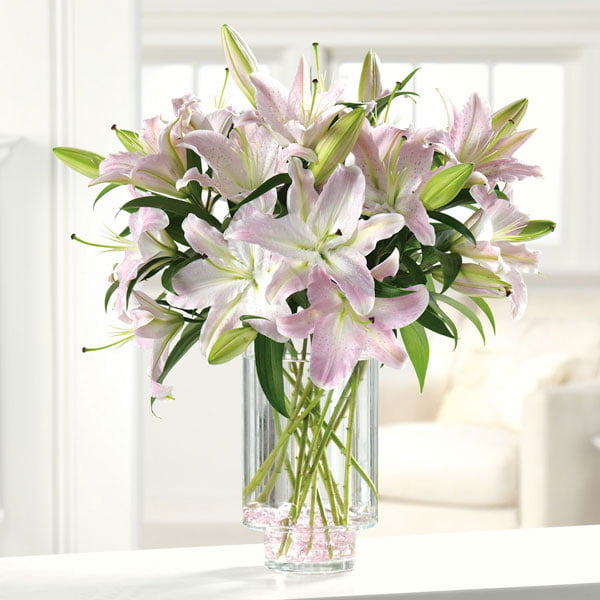 Flower arrangement Flower arrangement