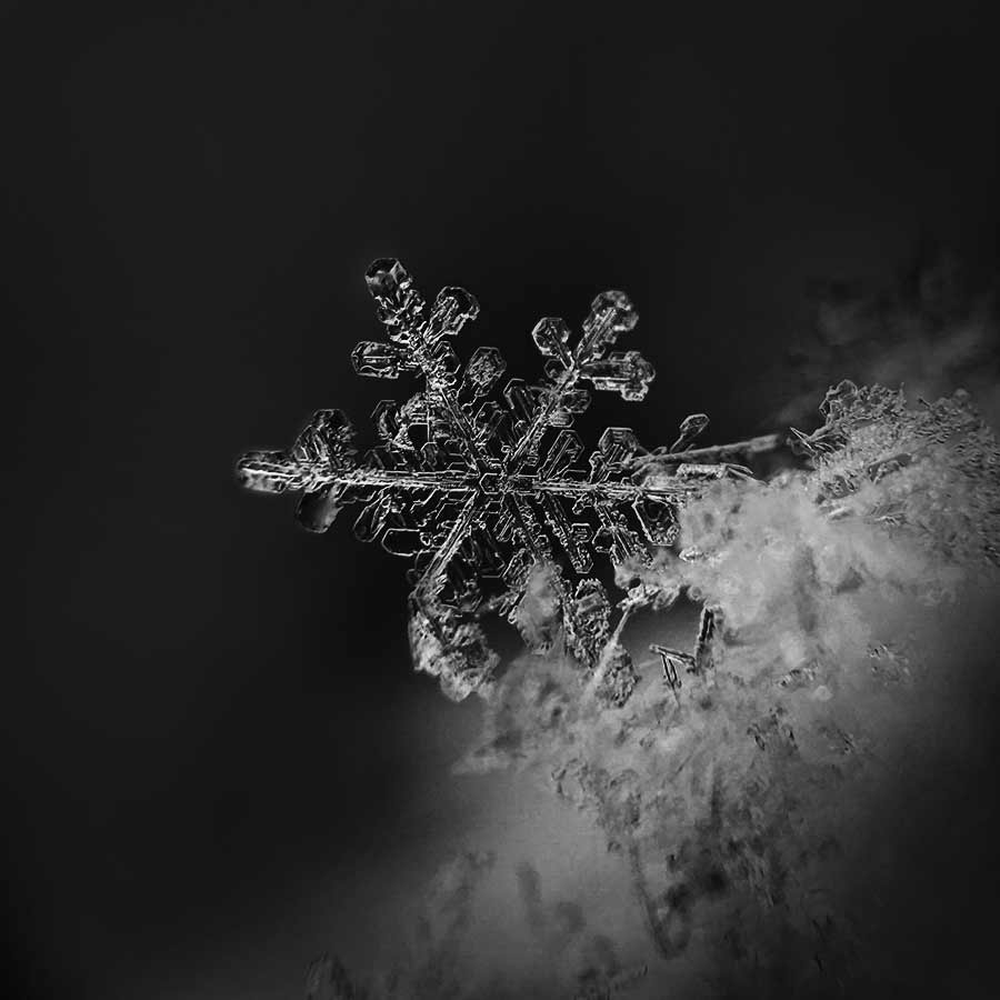 snowflake3