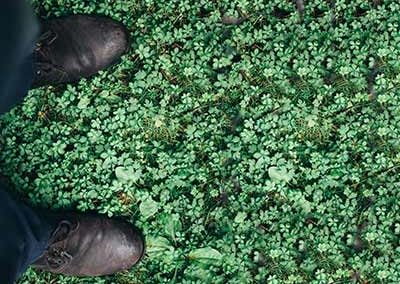 Grumpy’s Yard Works and Cottage Services