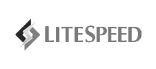 litespeed logo Litespeed logo
